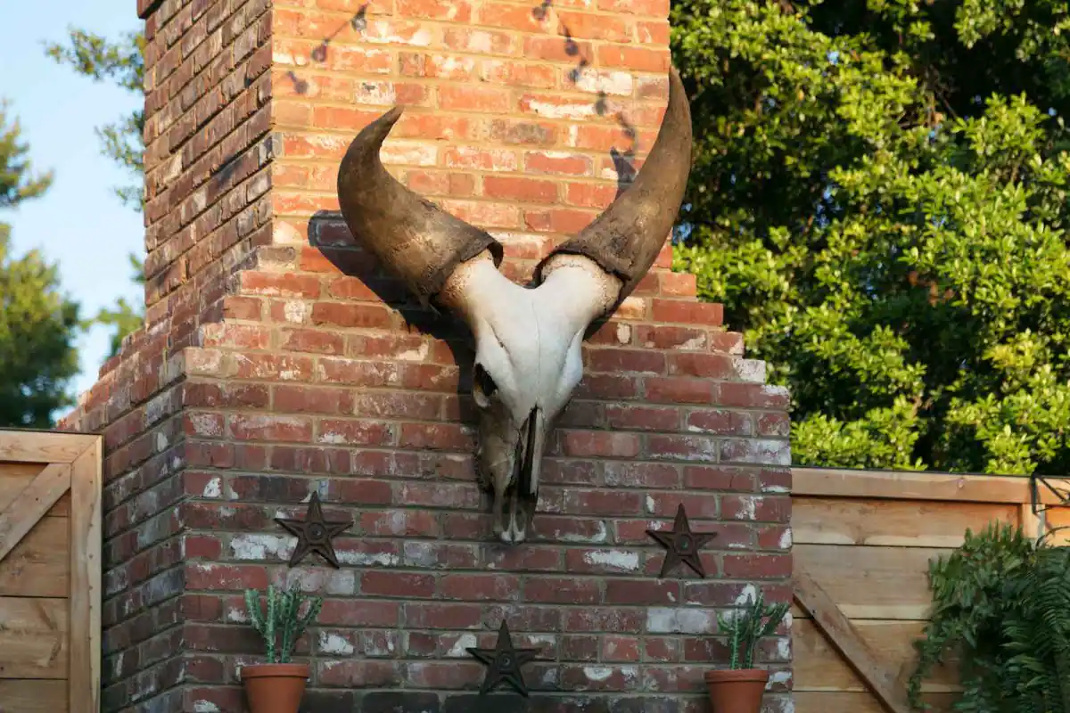 Urban Cowboy Nashville Patio Fireplace Animal Skull